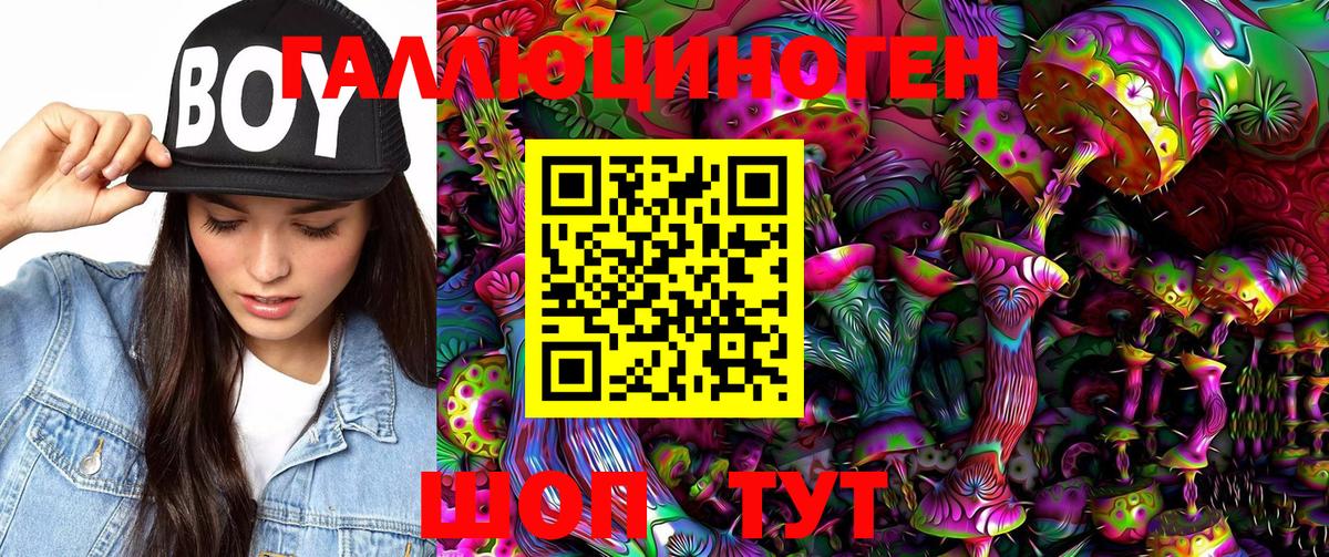 Галлюциногенные грибы Psilocybe Назарово