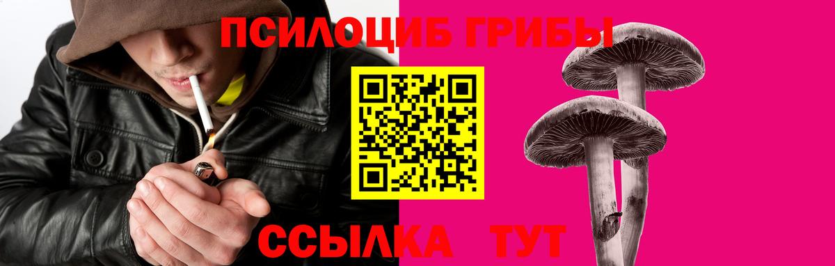 Галлюциногенные грибы GOLDEN TEACHER  Вход с VPN  Галлюциногенные грибы мухоморы  Назарово 